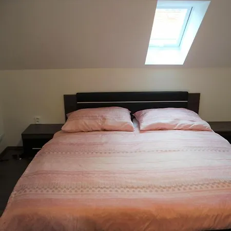 Apartmán U Parku *